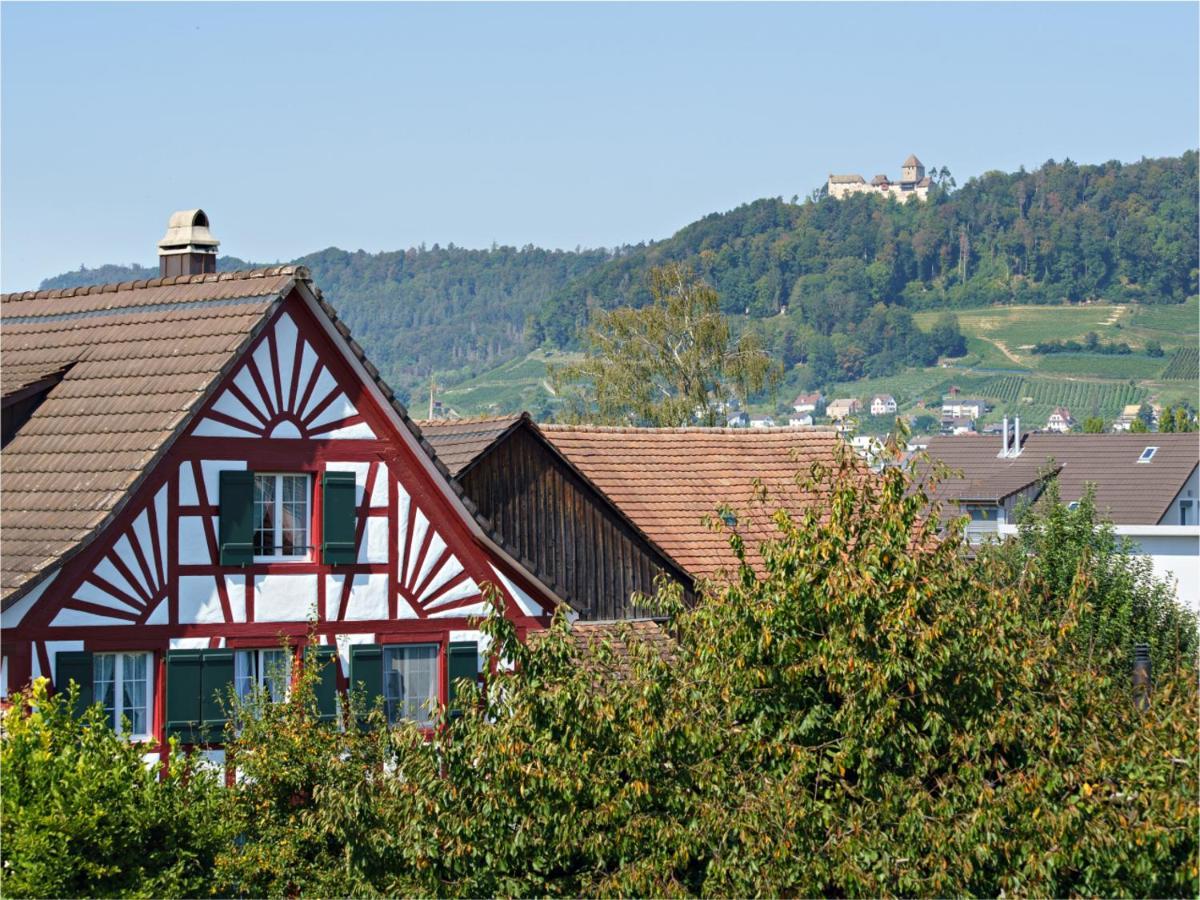 Exklusive 4.5 Zimmer Wohnung Fuer Familien Und Business Eschenz Esterno foto